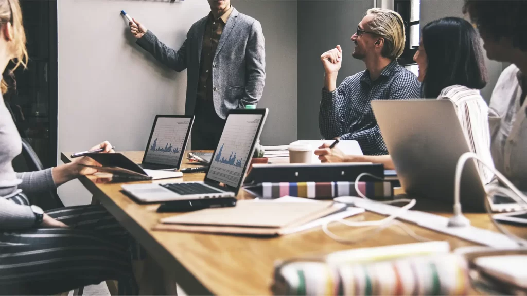 Responsibility of Limited Liability Companies’ Shareholder Responsibility of limited liability companies’ shareholder