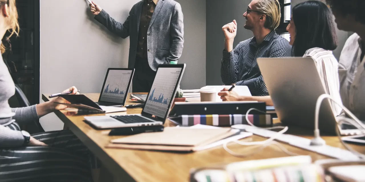 Responsibility of Limited Liability Companies’ Shareholder