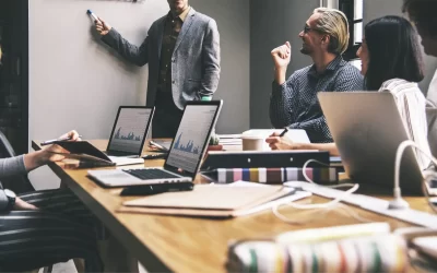 Responsibility of Limited Liability Companies’ Shareholder