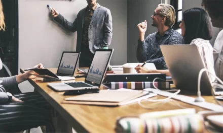 Responsibility of Limited Liability Companies’ Shareholder