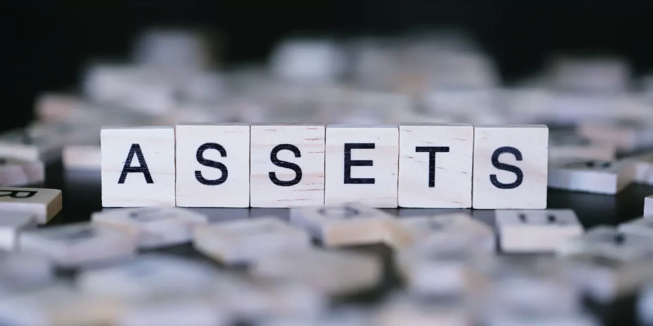 Sales of Assets of the Company