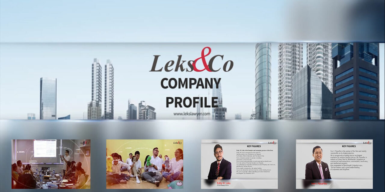 Leks&Co Company Profile Video