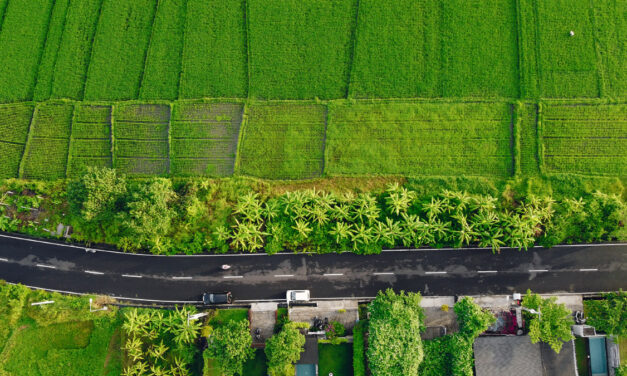 Pembatalan Penetapan Lokasi dalam Pengadaan Tanah untuk Kepentingan Umum
