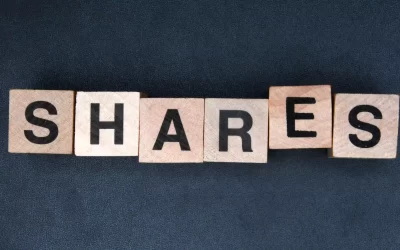 Classification of shares in a Limited Liability Company