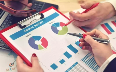The annual report in Limited Liability Company