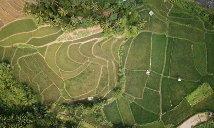 Is there legal certainty in land ownership in Indonesia?