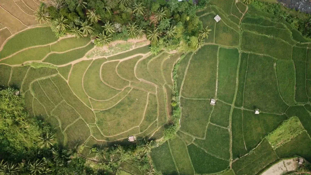 Jurisprudence Element of Land Ownership Disputes