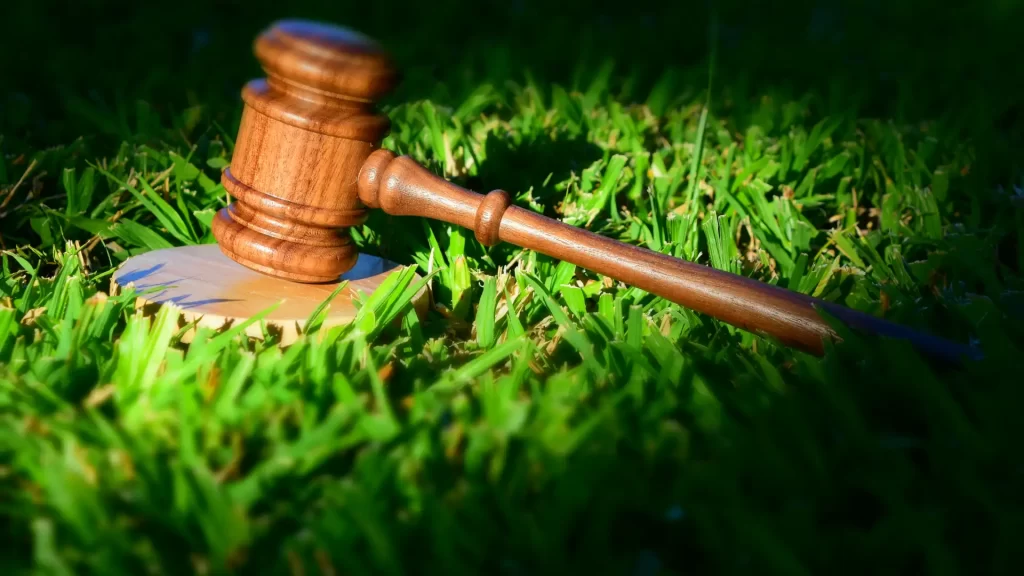 Peran Individu dalam Sengketa Lingkungan Hidup