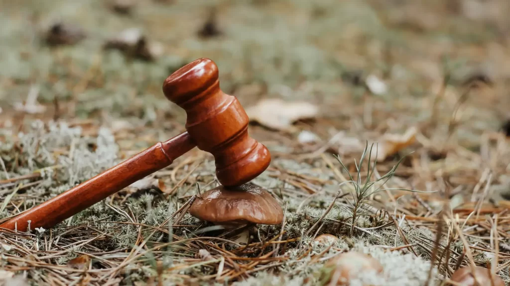 Kedudukan Hukum Litigasi Lingkungan Hidup