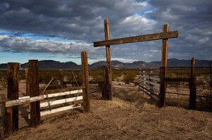 Cattle pen in dry rural landscape
