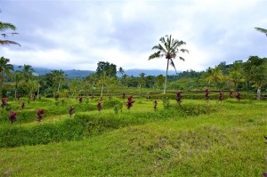 Agrarian Law - Leks&Co Lawyers