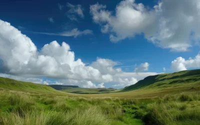 Procedure and Mechanism for Downgrading and Upgrading The Right of Land