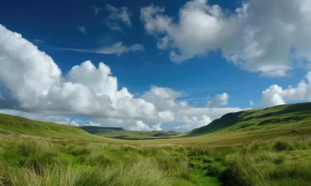 Upgrading the Right of Use of Land to the Right of Ownership