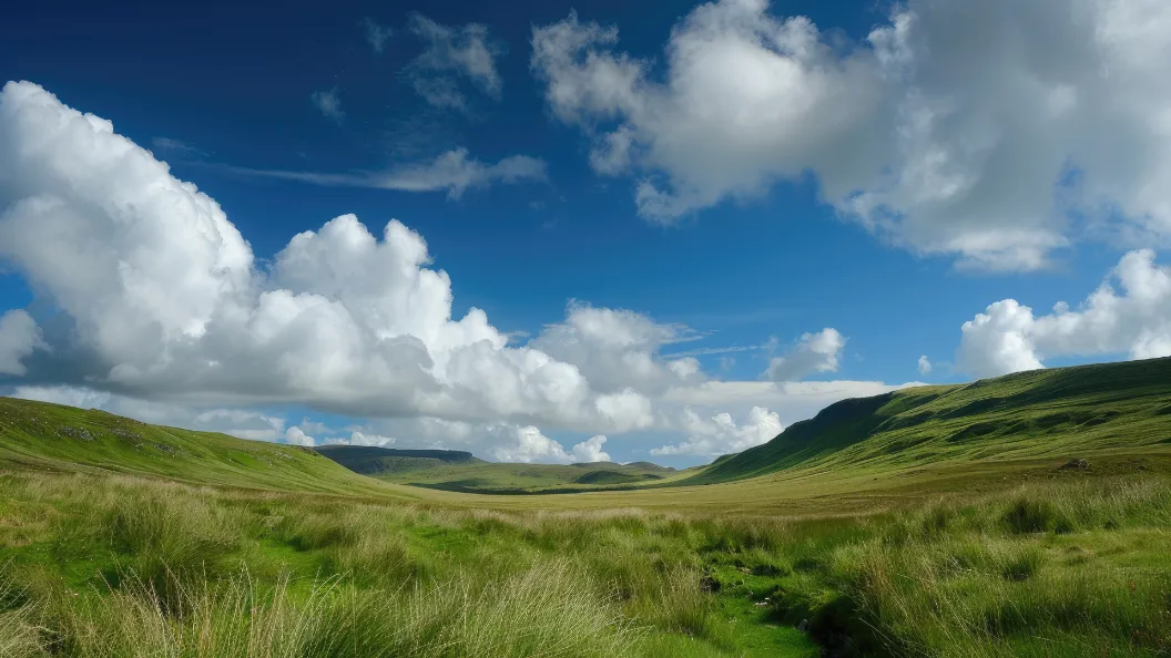 Procedure and Mechanism for Downgrading and Upgrading The Right of Land