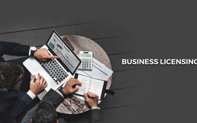 Risk-Based Criteria Business Licensing