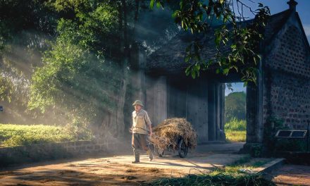 Utilization of Village Land Through the Build Operate Transfer Scheme