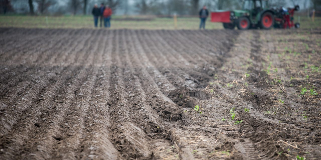 Awaiting Reform on Agrarian (Land) Law