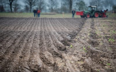 Awaiting Reform on Agrarian (Land) Law