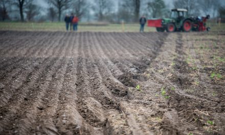 Awaiting Reform on Agrarian (Land) Law