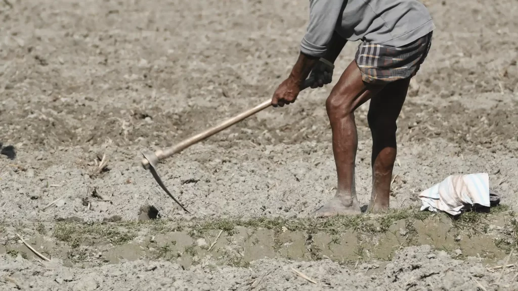 Right to Cultivate