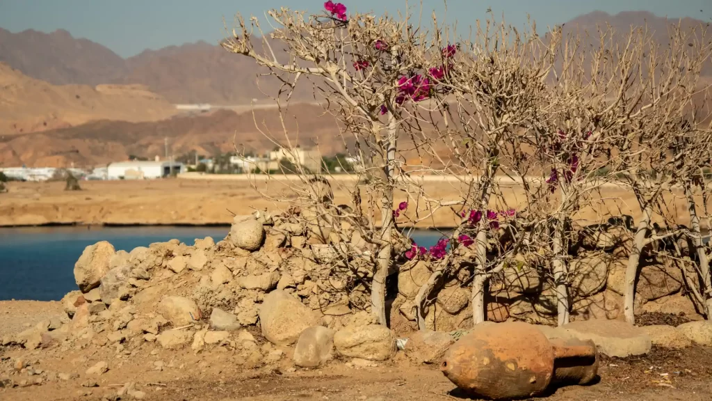 hukum kawasan telantar di indonesia