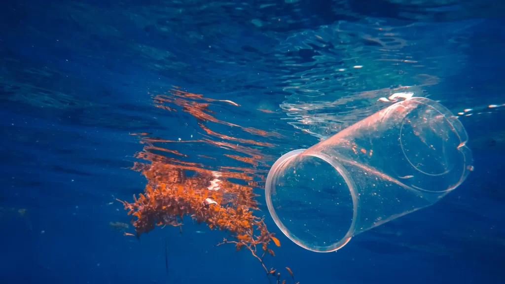 Environmental Law in Indonesia