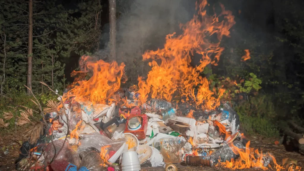 Environmental Liability in Indonesia