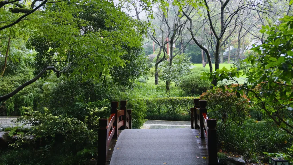 Green Open Spaces