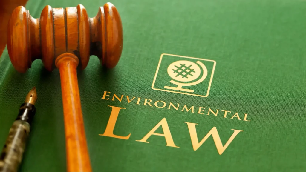 Environmental Law Principles in Indonesia