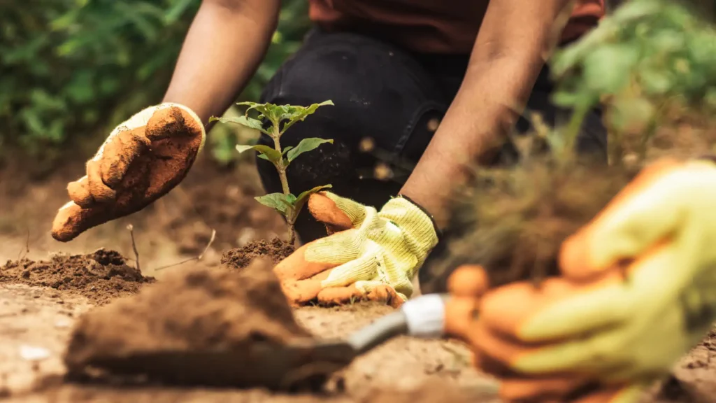 Indonesia’s Environmental Law in Action